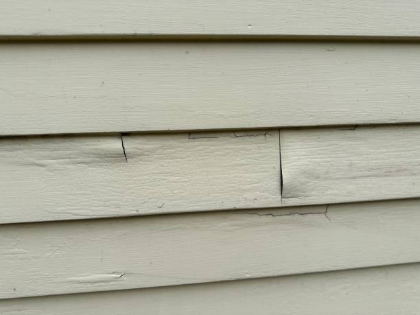 Best Insulated Siding Installation  in Franklin Center, NJ